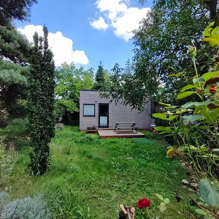 Tinyhouse Under Watertower