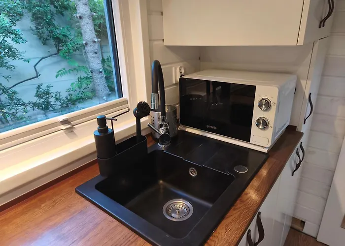 Tinyhouse Under Watertower *